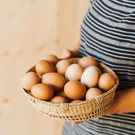 Ξενοδοχείο Ses Sucreres Small & Slow Ferreries