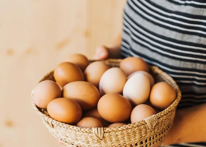 Hotel Ses Sucreres Small & Slow Ferreries (Ferrerías)